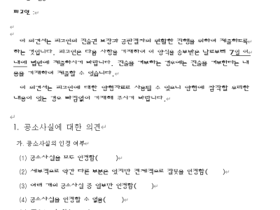 피고인 의견서(서식)-기본